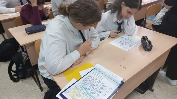 WhatsApp Image 2025-11-13 at 15.01.03 (1)